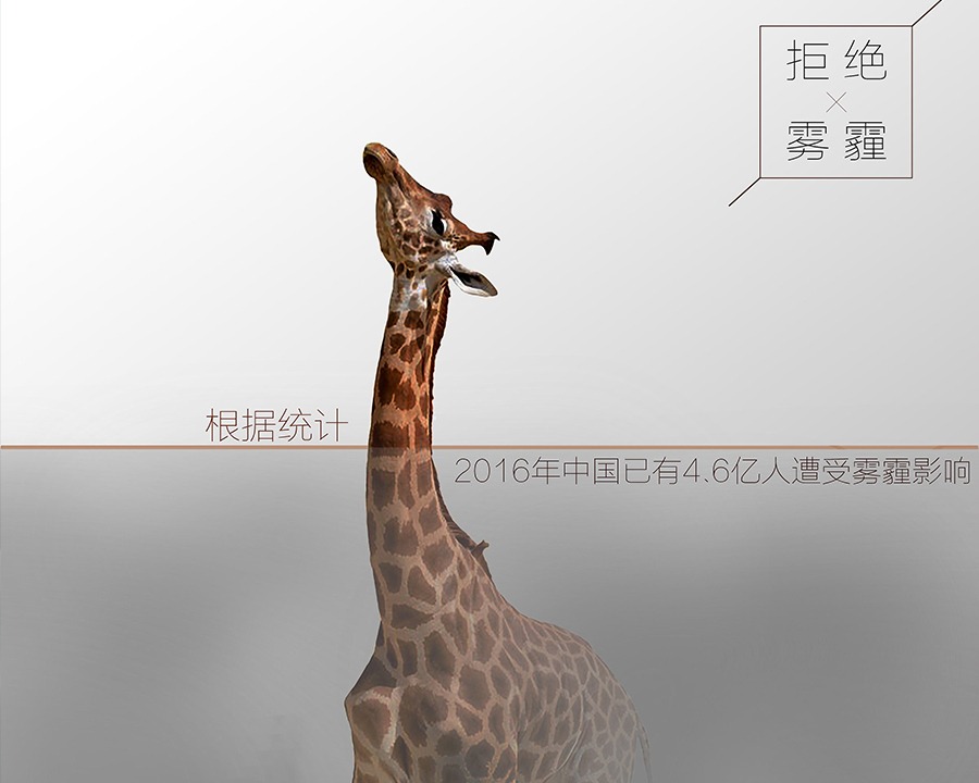 西双版纳公益广告片
